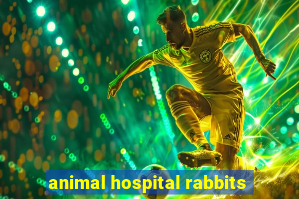 animal hospital rabbits